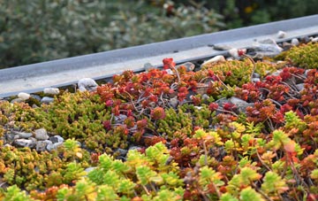 the cost of Denham End green roof installation