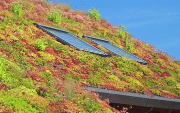 Denham End living roof systems