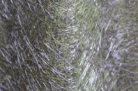 Denham End fibreglass roof work